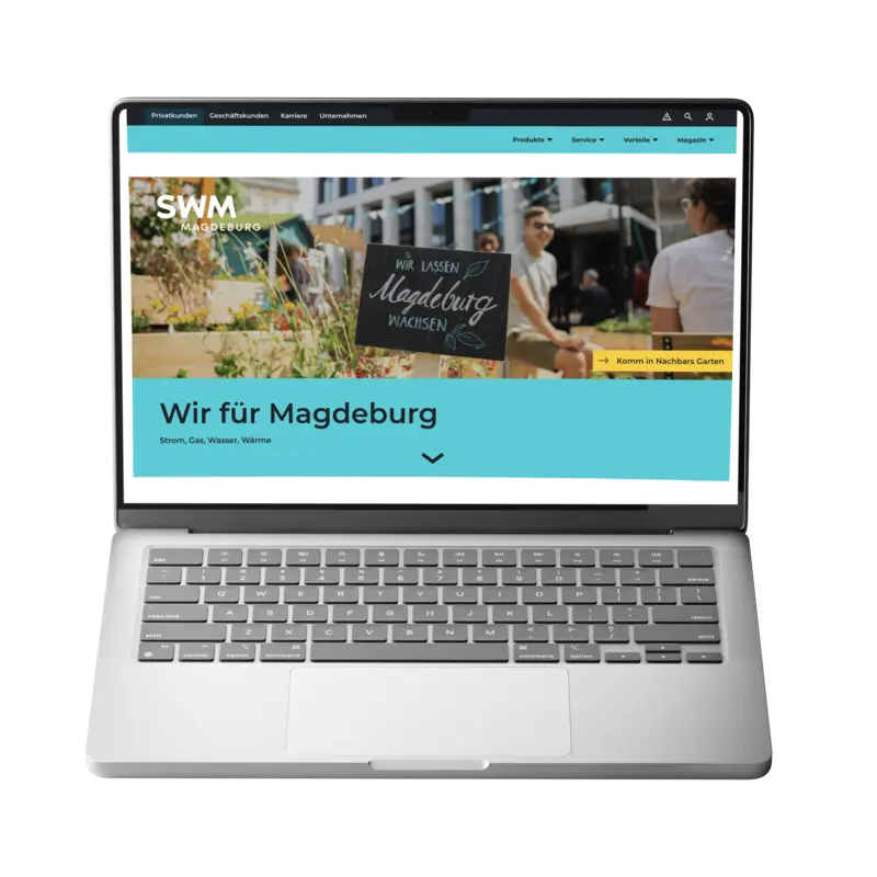 Home page of the SWM website