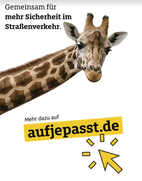Instagram Highlight Vorschau